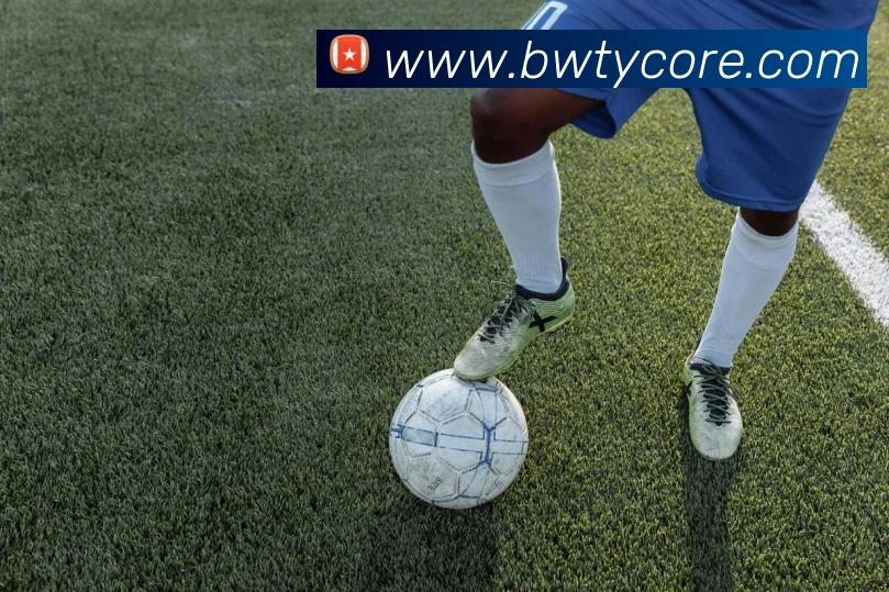 宝威体育平台生态图