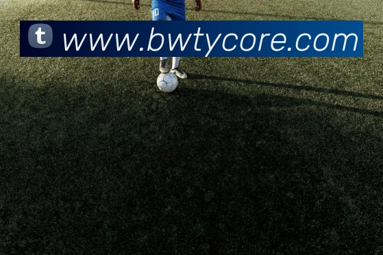 宝威体育APP 封面图